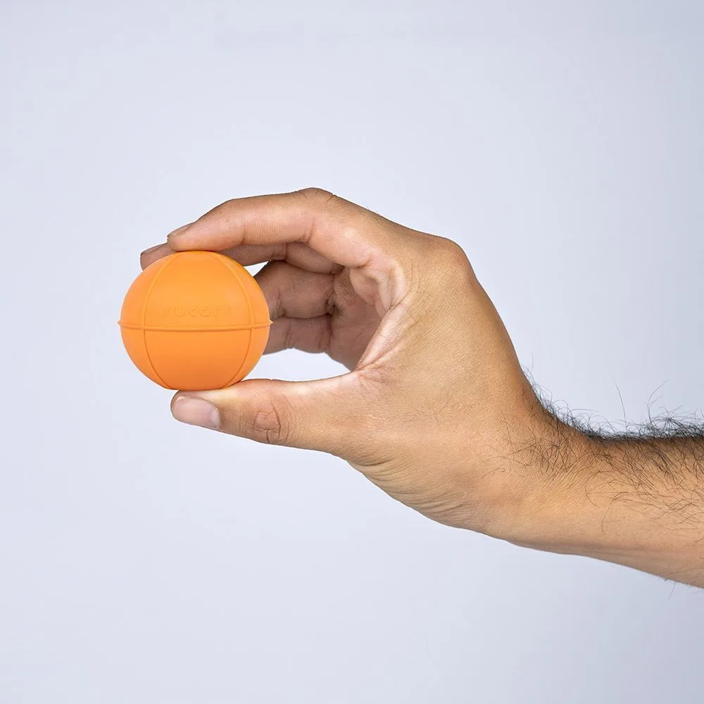 DSC06379.jpg Dogball - Imagen 6