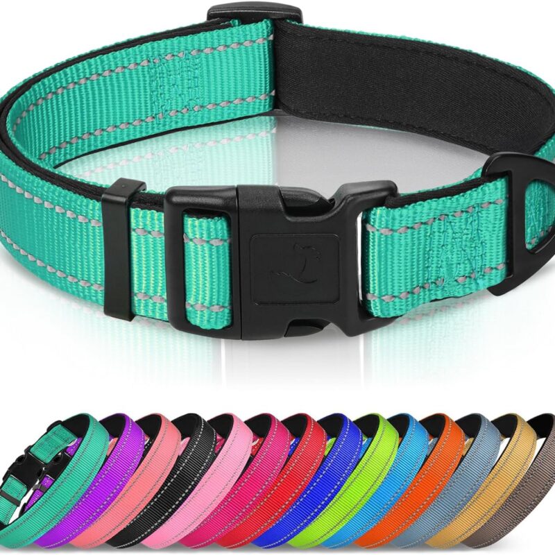 joytale collar reflectante