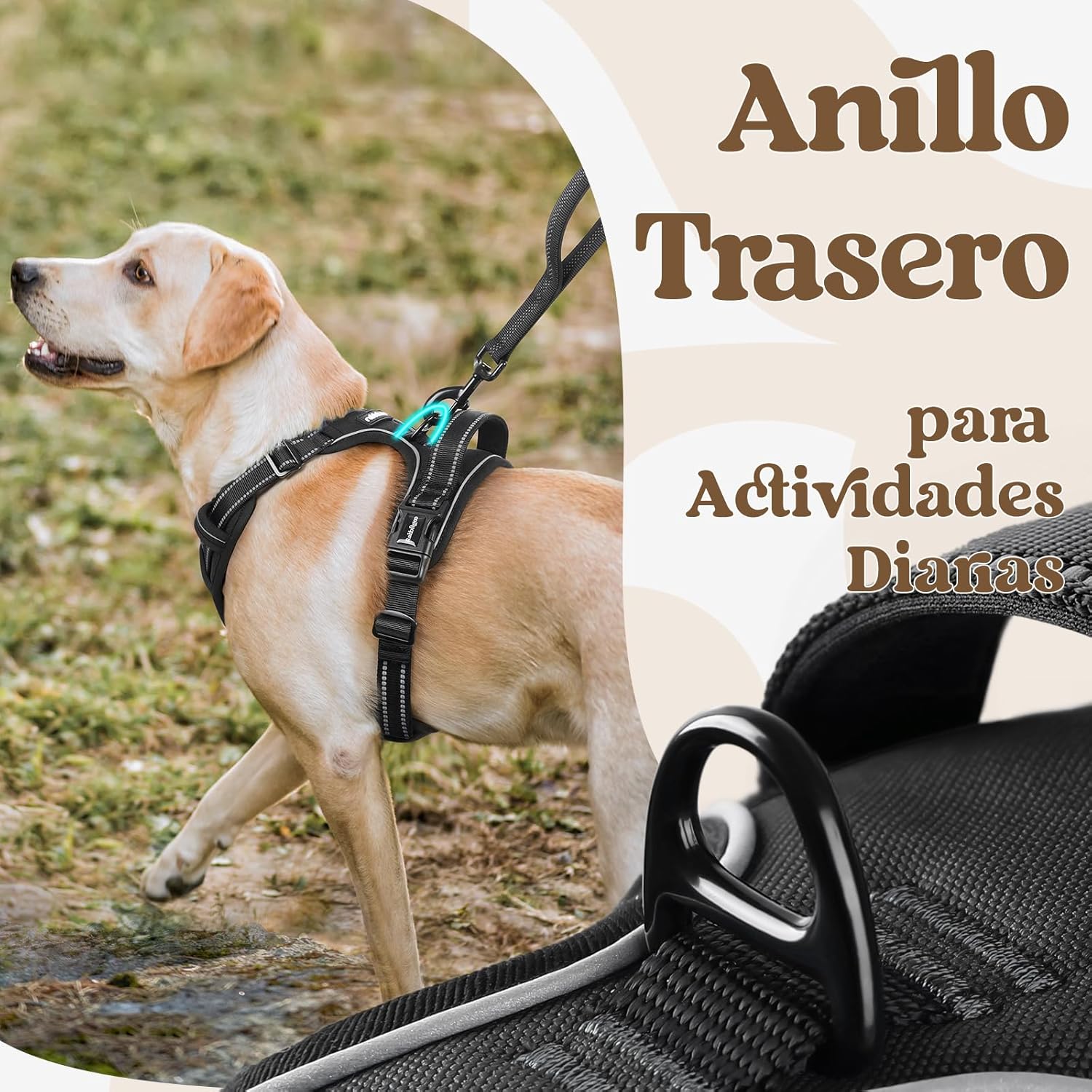 rabbitgoo arnes perro mediano con 3 hebillas rabbitgoo arnes perro mediano con 3 hebillas